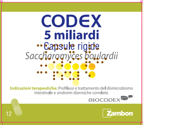 CODEX*12CPS 5MLD 250MG - Farmastop