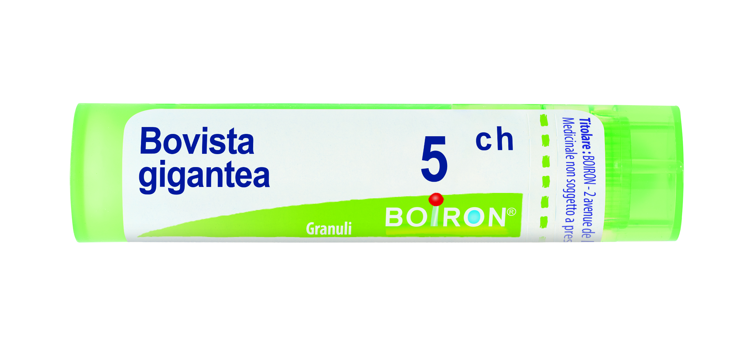 BOVISTA GIGANTEA*5CH 80GR 4G - Farmastop
