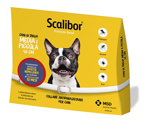 SCALIBOR PROTECTOR BAND*BI48CM - Farmastop