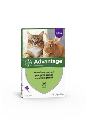 ADVANTAGE*4PIP 0,8ML SPOTON - Farmastop