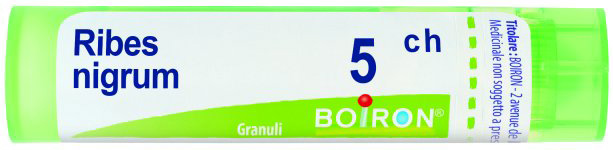 RIBES NIGRUM 5CH GRANULI - Farmastop