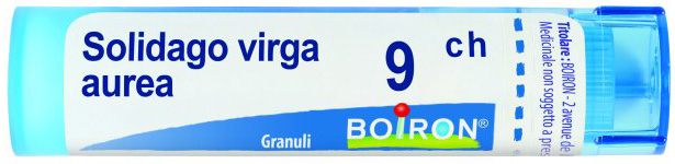 SOLIDAGO VIRGA AUREA 9CH GRANULI 4G - Farmastop