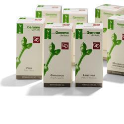 FICO MACERATO GLICERICO 100 ML - Farmastop