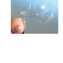 AMEDA CAPPELETTI SENO MEDIA 2 PEZZI - Farmastop