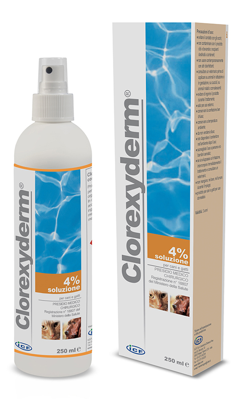 CLOREXYDERM SOLUZIONE 4% 250 ML - Farmastop