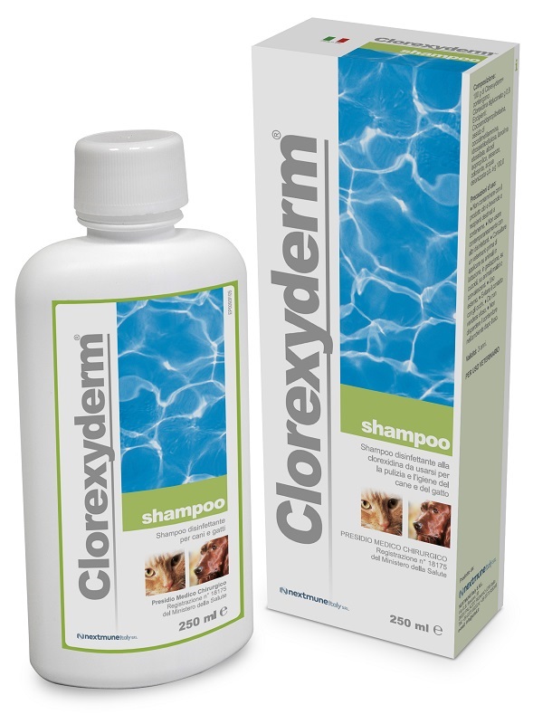 CLOREXYDERM SHAMPOO 250 ML - Farmastop
