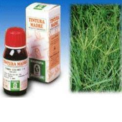 GRAMIGNA 37 50ML TM - Farmastop