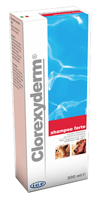CLOREXYDERM SHAMPOO FORTE 200 ML - Farmastop