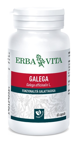 GALEGA 60 CAPSULE - Farmastop