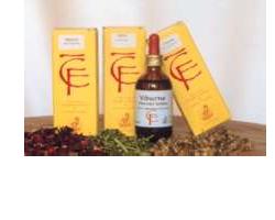 RIBES GEMME 100ML MG - Farmastop