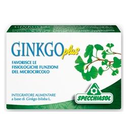 GINKGO PLUS 30 CAPSULE - Farmastop