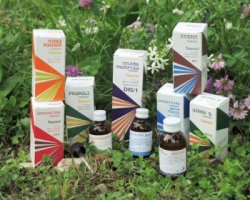 RAEMIL ARTIS GINKO BIL COMPOSTO 25 - Farmastop