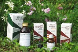RAEMIL PRIMULA OLIO 25 ML - Farmastop