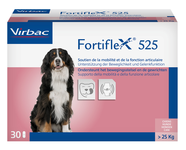 FORTIFLEX 525 MG 30 COMPRESSE APPETIBILI - Farmastop