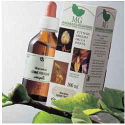 BETULLA 100ML MG - Farmastop