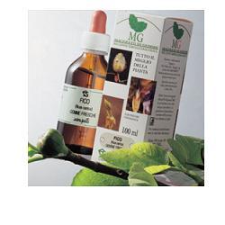 ROSMARINO 100ML MG - Farmastop