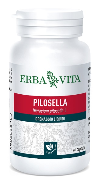 PILOSELLA 60 CAPSULE 400 MG - Farmastop