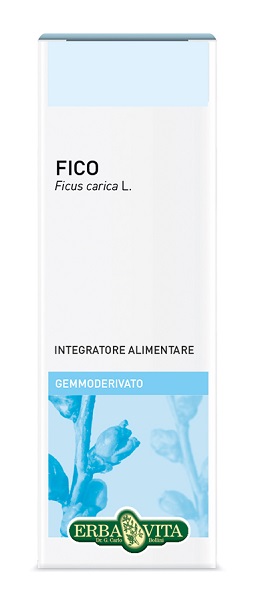 GEMMODERIVATO FICO 50 ML - Farmastop