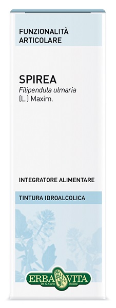 SPIREA ULMARIA TINTURA IDROALCOLICA 50 ML EBV - Farmastop