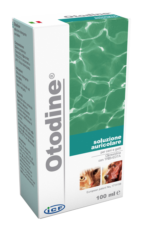 OTODINE DETERGENTE LIQUIDO 100 ML - Farmastop