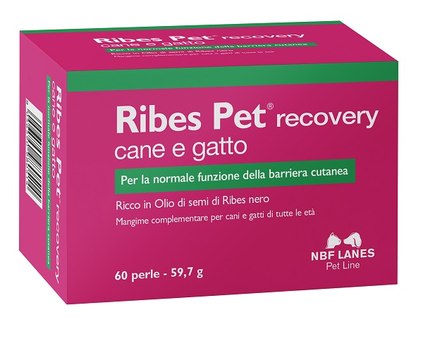 RIBES PET RECOVERY BLISTER 60 PERLE - Farmastop