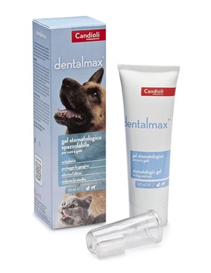 DENTALMAX GEL STOMATOLOGICO 50 ML - Farmastop