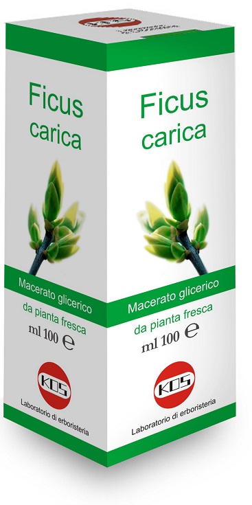 FICUS CARICA MG 100 ML GOCCE - Farmastop