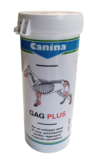GAG PLUS 100 G 60 TAVOLETTE - Farmastop