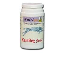 KARTILEG J 60TAV - Farmastop