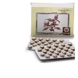 CIMICIFUGA 50 TAVOLETTE 500 MG - Farmastop