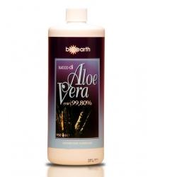BIOEARTH ALOLIO ESSENZIALE PURO SUCCO 475 ML - Farmastop