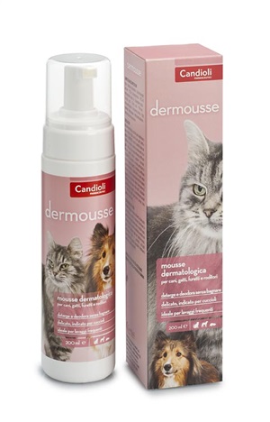 DERMOUSSE MOUSSE FLACONE 200 ML - Farmastop