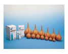 SCHIZZETTO GOMMA 2 35 ML - Farmastop