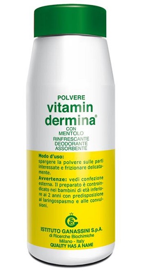 VITAMINDERMINA POLVERE MENT 100 G - Farmastop