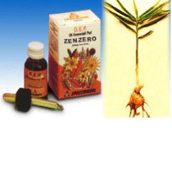 ZENZERO OLIO ESSENZIALE PURO 10 ML - Farmastop