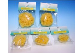 NATURA PURA SPUGNA NATURALE 10 BUSTE - Farmastop