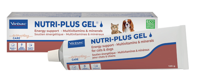 NUTRIPLUS GEL PASTA ORALE 120 G - Farmastop