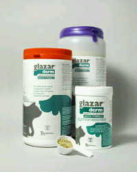 GLAZARDERM FLACONE 500 G - Farmastop