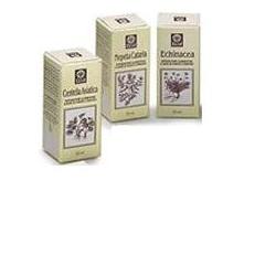 NEPETA CATARIA ESTRATTO ANALCOLICO 50 ML - Farmastop