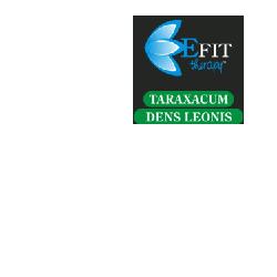TARAXACUM DENS LEO ESTRATTO FLUIDO 30 ML - Farmastop