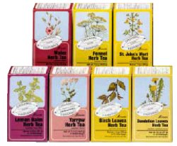 ORTICA TISANA BIO 15 FILTRI - Farmastop
