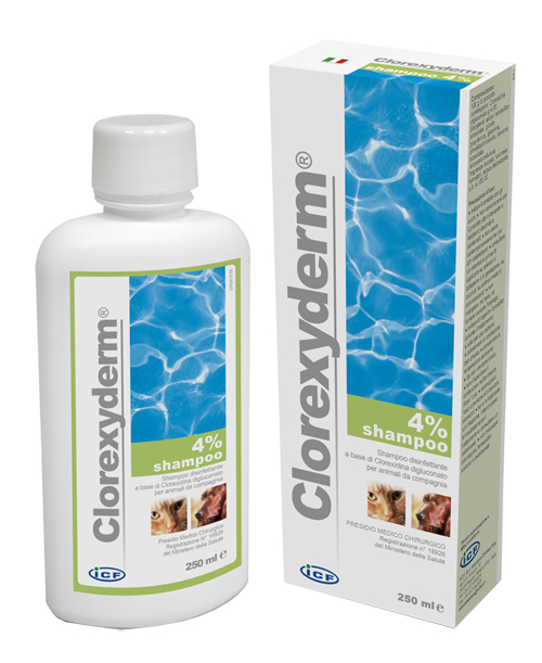 CLOREXYDERM SHAMPOO 4% 250 ML - Farmastop