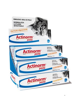 ACTINORM PASTA GATTI 65 G - Farmastop