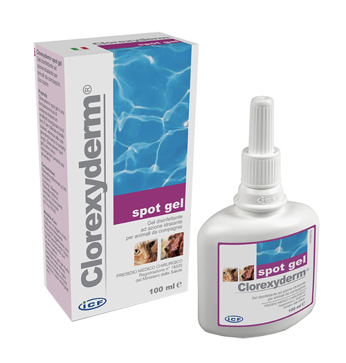 CLOREXYDERM SPOT GEL 100 ML - Farmastop