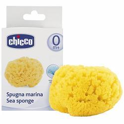 CHICCO SPUGNA MARE PICCOLA - Farmastop