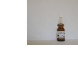 SIDEA STAMINALI UVA SIERO CONCENTRATO 10 ML - Farmastop