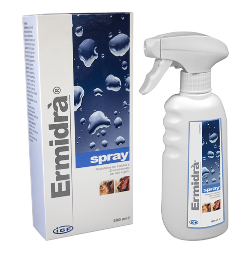ERMIDRA' SPRAY 300 ML - Farmastop