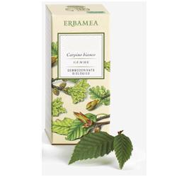 BETULA VERRUCOSA LINFA GEMMODERIVATO BIO 50 ML - Farmastop