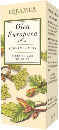 OLEA EUROPEA OLIVO BIO 50 ML - Farmastop