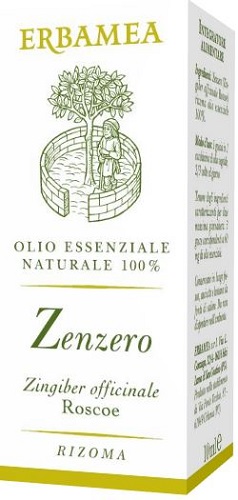 ZENZERO 10 ML - Farmastop